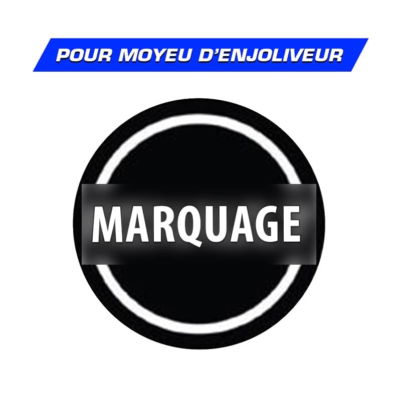 Logo Renault en relief pour Moyeu d'enjoliveur Camion