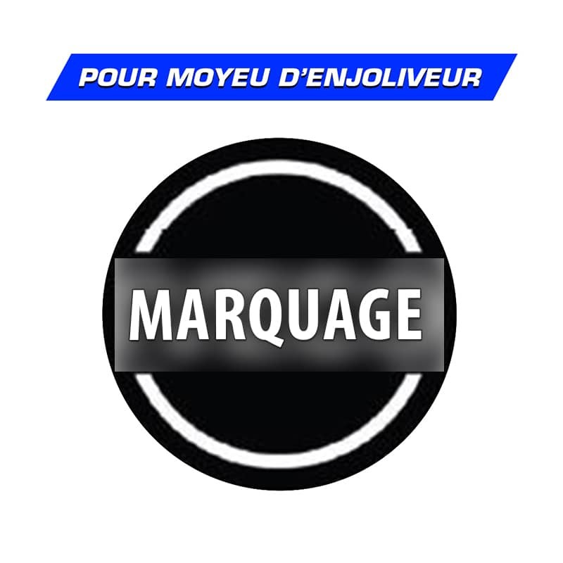 Logo Iveco en relief pour Moyeu d'enjoliveur Camion