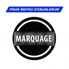 Logo Iveco en relief pour Moyeu d'enjoliveur Camion