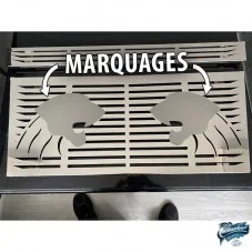 Grille de calandre inox Ford Cargo avec logos lions