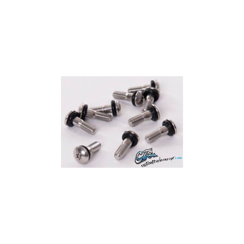 Kit Antivol Enjoliveurs Renault - 4 Vis + Clé - Compatible Clio, Mégane, Scénic, Laguna - Ref OEM 7700422600