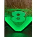 PLAQUE LED V8 RGB POUR CAMION VERT