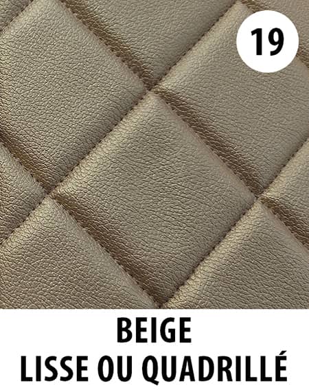 Couleur tapis camion beige 19