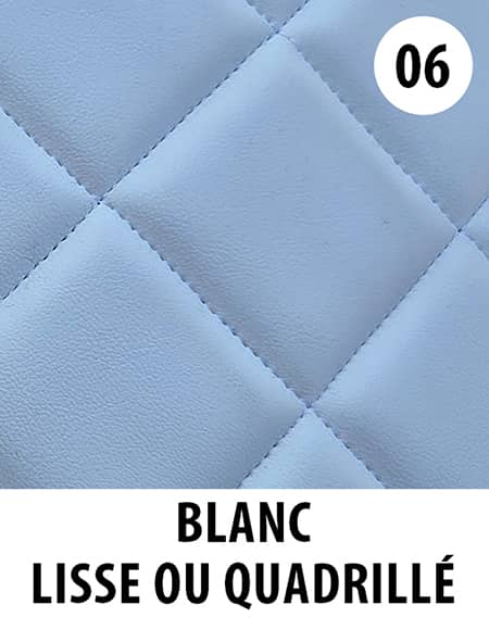 Couleur tapis camion Blanc référence 06