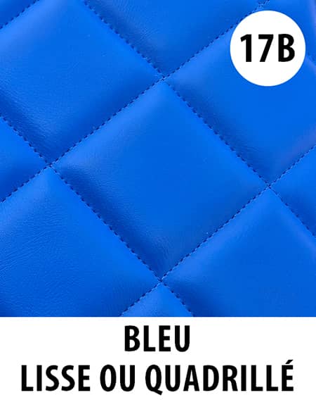 Couleur tapis camion Bleu référence 17B