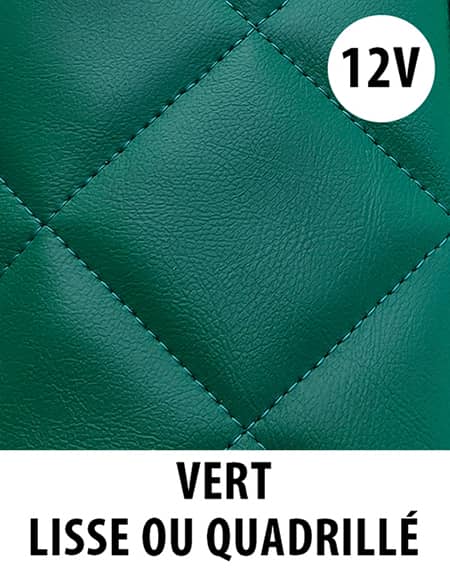 Couleur tapis camion Vert référence 12V