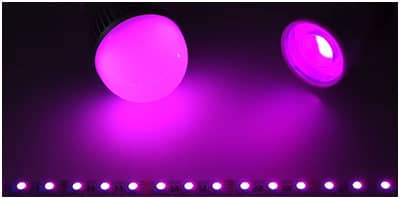 Eclairage violet avec télécommande et controleur RGBW LED